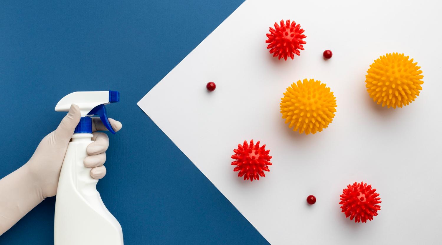 Профессиональное удаление плесени и грибка: методы, химия и профилактика